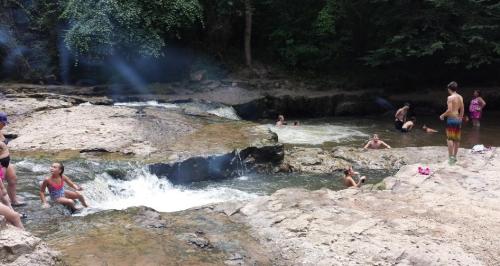 People enjoying a natural swimming area with a small waterfall and rocky surroundings in a lush, green forest.