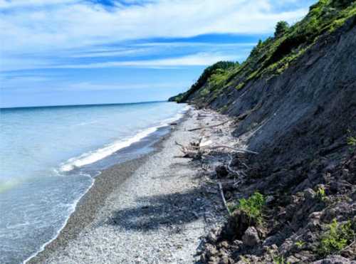 A serene shoreline with pebbles, driftwood, and lush greenery under a blue sky with scattered clouds.