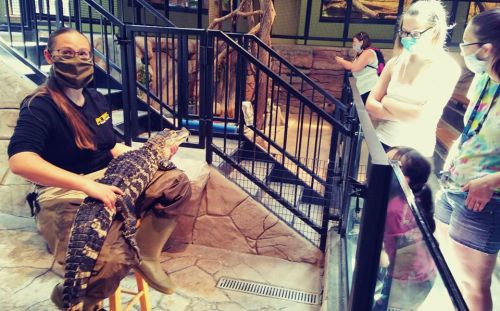 A person in a mask holds a crocodile while visitors watch, all in a zoo-like setting.
