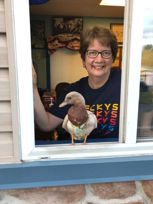 A smiling woman in a colorful shirt leans out of a window with a duck standing on the ledge beside her.