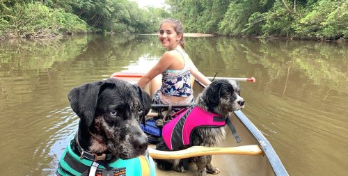 A girl in a canoe on a river with two dogs, one wearing a pink life jacket, surrounded by lush greenery.