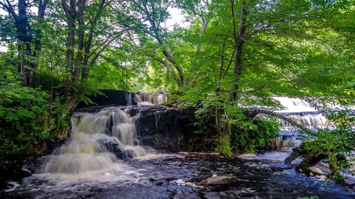A serene waterfall cascades over rocks, surrounded by lush green trees and foliage.