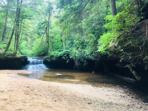 A serene forest scene featuring a small waterfall cascading into a calm stream, surrounded by lush greenery.