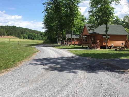 A gravel road leads to wooden cabins surrounded by green trees and a clear blue sky.