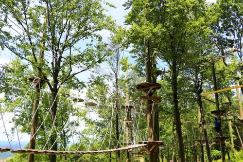 A treetop adventure course with rope bridges and platforms among tall trees under a blue sky.