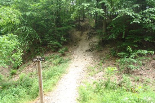 A dirt trail leads into a lush green forest, marked by a wooden sign indicating "TRAIL."