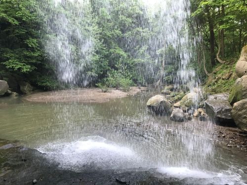 A serene waterfall cascades into a calm pool, surrounded by lush greenery and rocky terrain.