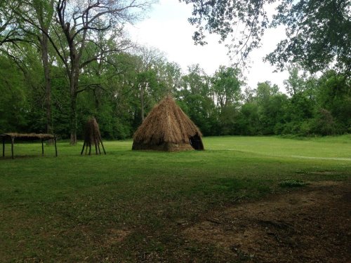 A grassy area with a thatched hut and a few trees in the background, surrounded by lush greenery.