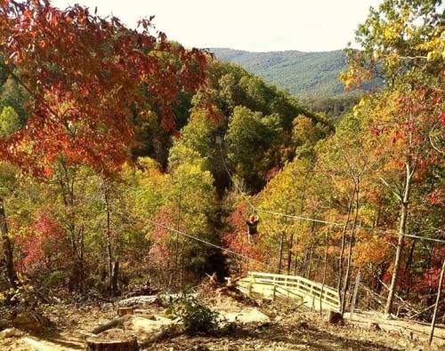 A person zip-lining through a colorful forest with autumn foliage and mountains in the background.