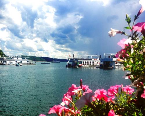A serene waterfront scene with boats docked, surrounded by lush greenery and colorful flowers under a cloudy sky.