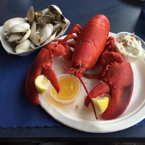 A red lobster on a plate with lemon wedges, a side of coleslaw, and a serving of clams in the background.