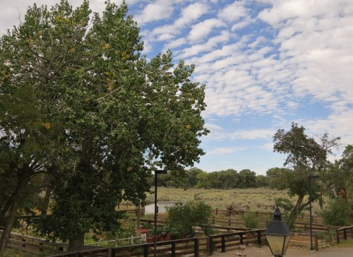 A scenic view of a park with trees, a cloudy sky, and a wooden fence surrounding a grassy area.