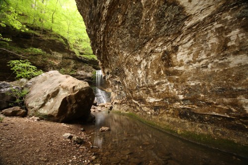 A serene landscape featuring a rocky cliff, a small waterfall, and a calm stream surrounded by lush green foliage.