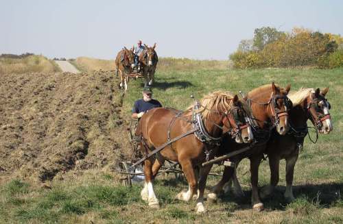 A farmer plows a field with a team of horses, while another person guides a cart in the background on a sunny day.