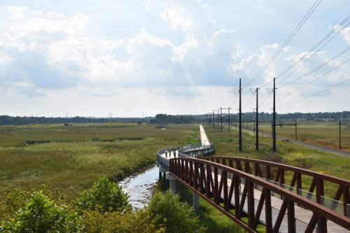 A winding pathway crosses a grassy landscape under a bright sky with scattered clouds and power lines in the distance.