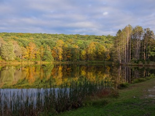 A serene lake surrounded by trees, reflecting autumn colors and a cloudy sky.