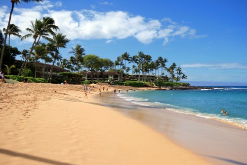 A sunny beach with soft sand, palm trees, and people enjoying the water under a clear blue sky.