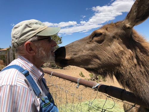 A man in overalls and a cap shares a close moment with a moose, both smiling in a sunny outdoor setting.