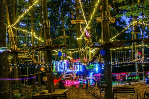 A vibrant treehouse adventure park illuminated with colorful lights in a forest at night.