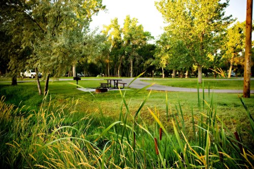 A serene park scene with green grass, trees, a picnic table, and a winding path under soft sunlight.