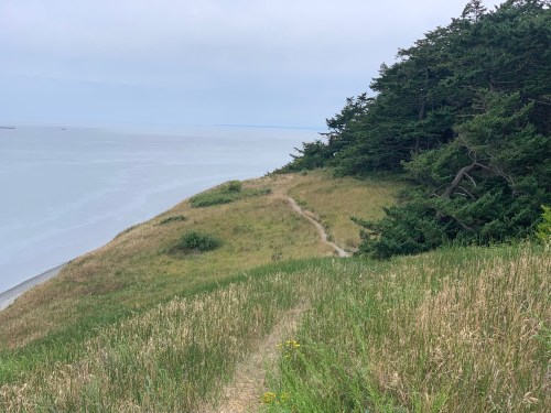 A grassy hillside leads to a calm shoreline, with trees on the right and a cloudy sky above.