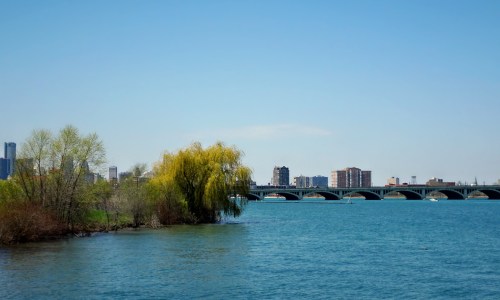 A serene river scene with a willow tree, a bridge in the background, and city buildings under a clear blue sky.