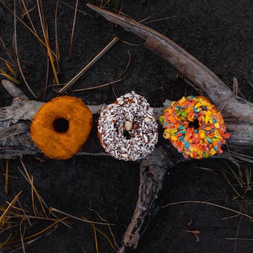 Three colorful donuts on a log: one orange, one chocolate with coconut, and one topped with fruity cereal.