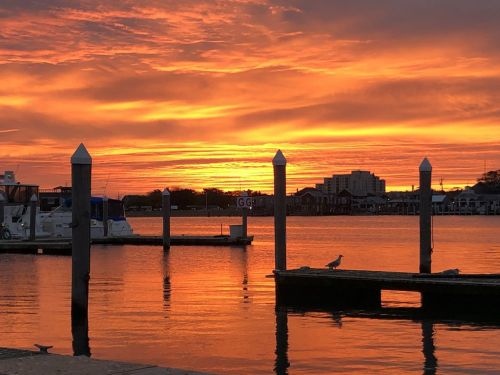 A vibrant sunset over a calm harbor, with silhouetted docks and a seagull perched nearby.