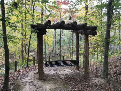 A rustic wooden swing hangs from a log frame in a serene forest, surrounded by colorful autumn foliage.