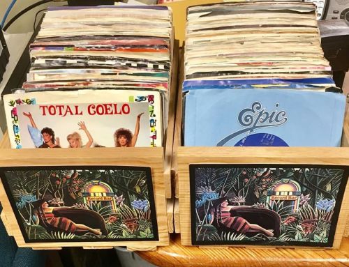 A collection of vinyl records organized in wooden holders, featuring colorful album covers and a tropical design.