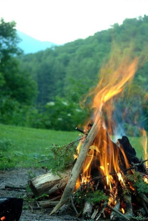 A campfire burns brightly with flames and logs, set against a backdrop of green trees and mountains.