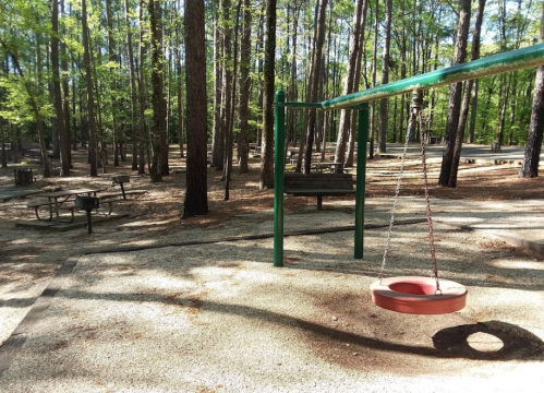 A playground swing hangs in a wooded area with picnic tables in the background, surrounded by tall trees.