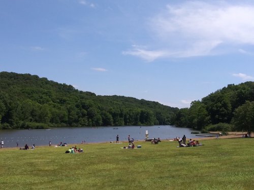A sunny lakeside scene with people relaxing on the grass and enjoying the water surrounded by green hills.