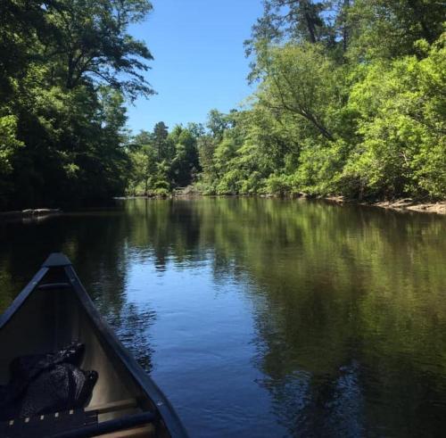 A serene river scene with lush green trees reflecting in calm water, viewed from a canoe.