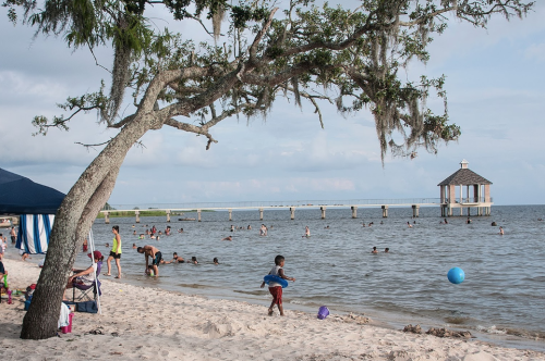 A beach scene with people swimming and playing, a tree with Spanish moss, and a gazebo in the background.
