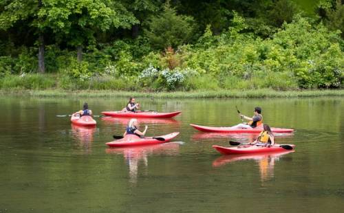 A group of people kayaking in red kayaks on a calm lake surrounded by lush greenery.