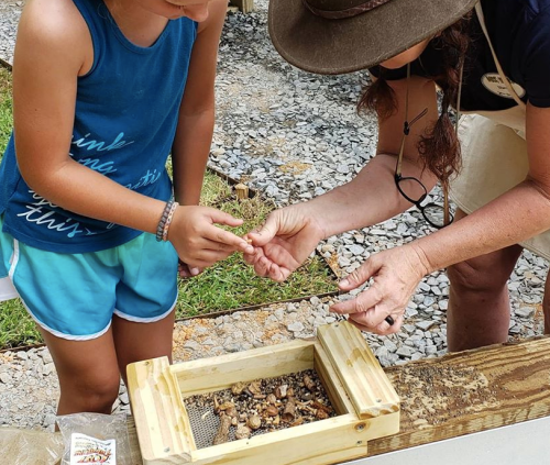 A child and an adult examine small creatures in a wooden box during an outdoor educational activity.