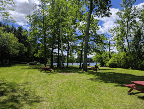 A serene park with green grass, trees, and red picnic tables overlooking a calm lake under a partly cloudy sky.