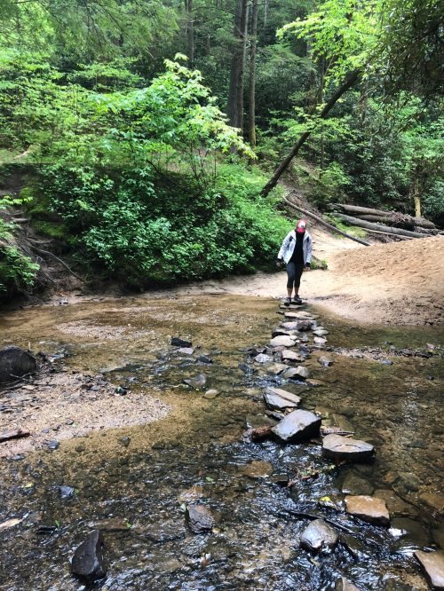 A person stands on stepping stones across a shallow stream in a lush, green forest.