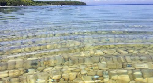 Clear water with ripples revealing smooth stones beneath, set against a serene shoreline and blue sky.