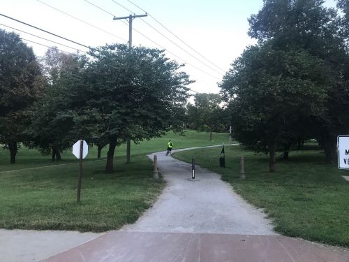 A cyclist rides along a path in a park surrounded by trees and power lines under a clear sky.