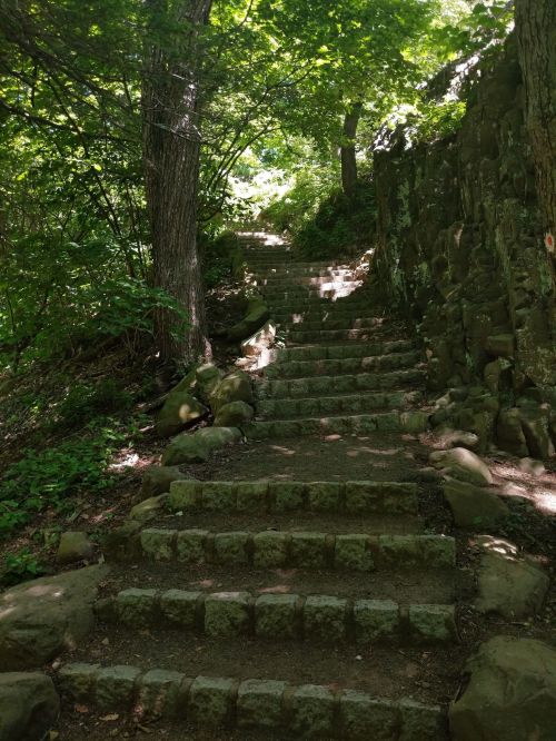 Stone steps lead upward through a lush, green forest, dappled sunlight filtering through the trees.