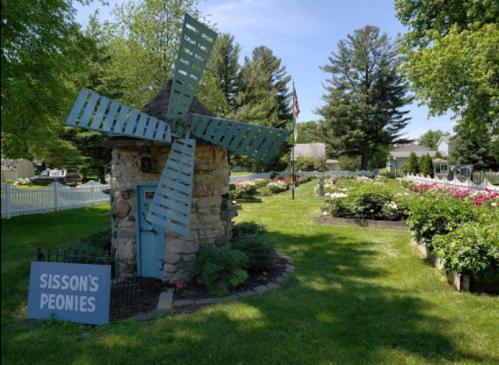 A quaint stone windmill surrounded by lush gardens and a sign reading "Sisson's Peonies" on a sunny day.