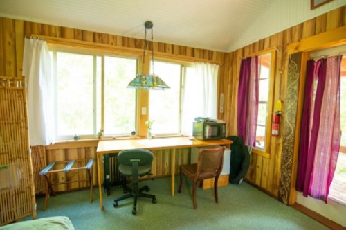 Cozy room with wooden walls, a desk by the window, a chair, and a microwave, featuring natural light and greenery outside.