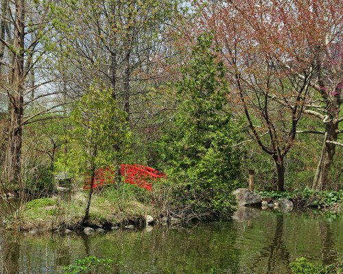 A serene pond scene featuring a red bridge surrounded by lush greenery and blooming trees.
