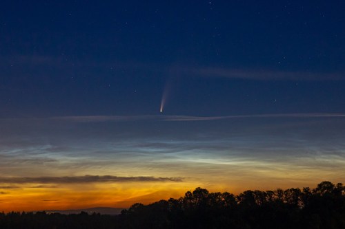A comet streaks across a twilight sky, with stars twinkling above a silhouette of trees and a colorful horizon.