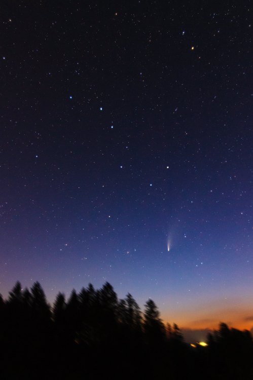 A starry night sky with a comet visible, above a silhouette of trees and a faint horizon glow.