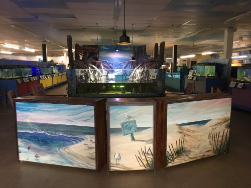 A colorful aquarium exhibit featuring painted scenes of beaches and ocean life, with tanks in the background.