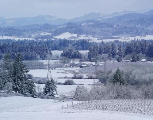 A serene winter landscape featuring snow-covered fields, trees, and distant hills under a cloudy sky.