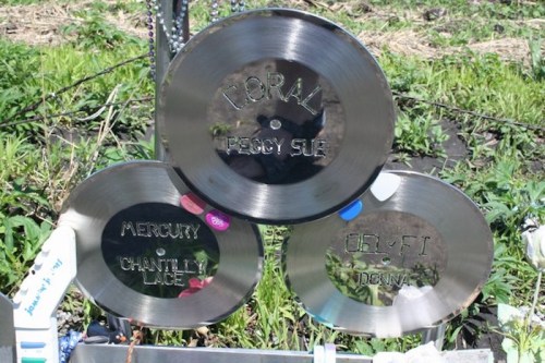Three metal plaques labeled "Coral," "Peggy Sue," and "Mercury" arranged on a grassy background.